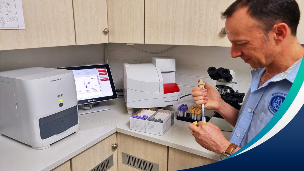 Vet performing laboratory tests